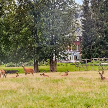 Tatil Evi Finnische Blockhausstilhaeuser Im Harz