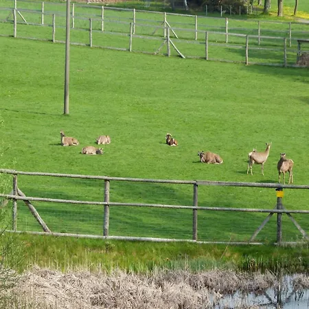 Finnische Blockhausstilhaeuser Im Harz *
